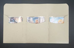 3-Pocket Envelope Insert - Kraft